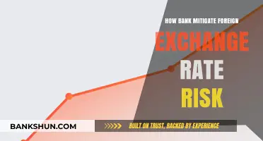 Strategies Banks Use to Mitigate Foreign Exchange Rate Risk