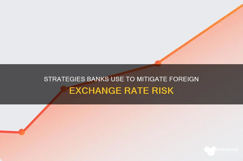 how bank mitigate foreign exchange rate risk