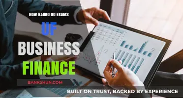 Mastering Business Finance Exams: Banko's Proven Strategies for Success