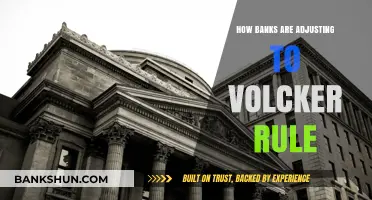 Banks' Strategic Shifts: Adapting to Volcker Rule Compliance