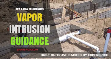 Banks' Strategies for Managing Vapor Intrusion Risks and Compliance