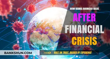 Resilient Recovery: How Banks Rebounded Post-Financial Crisis