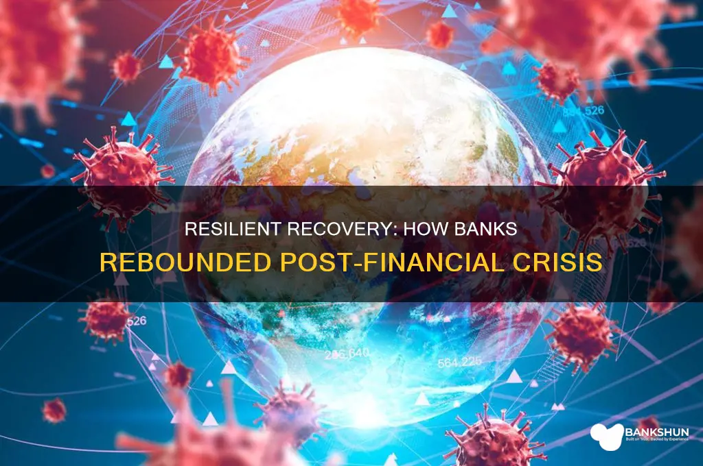 how banks bounced back after financial crisis