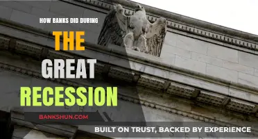 Bank Resilience: Surviving the Great Recession's Economic Storm
