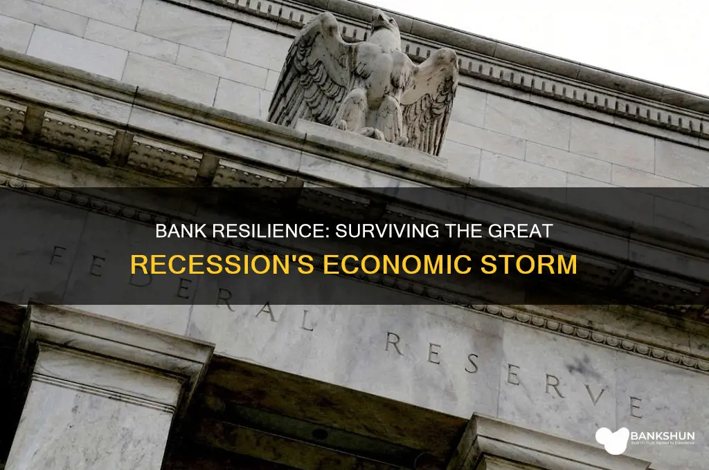 how banks did during the great recession