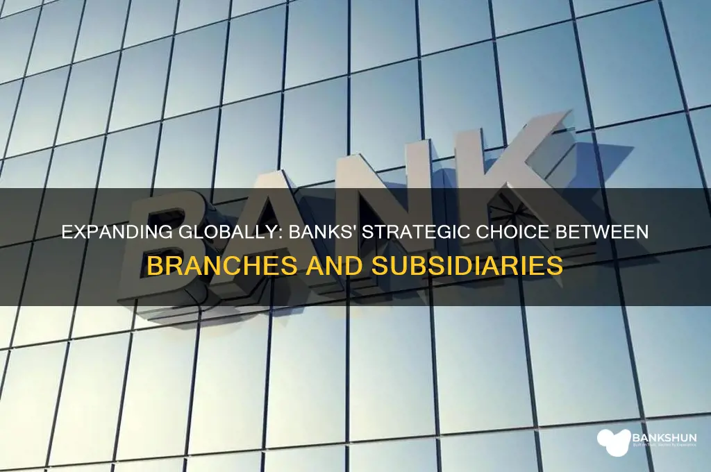 how banks go abroad branches or subsidiaries