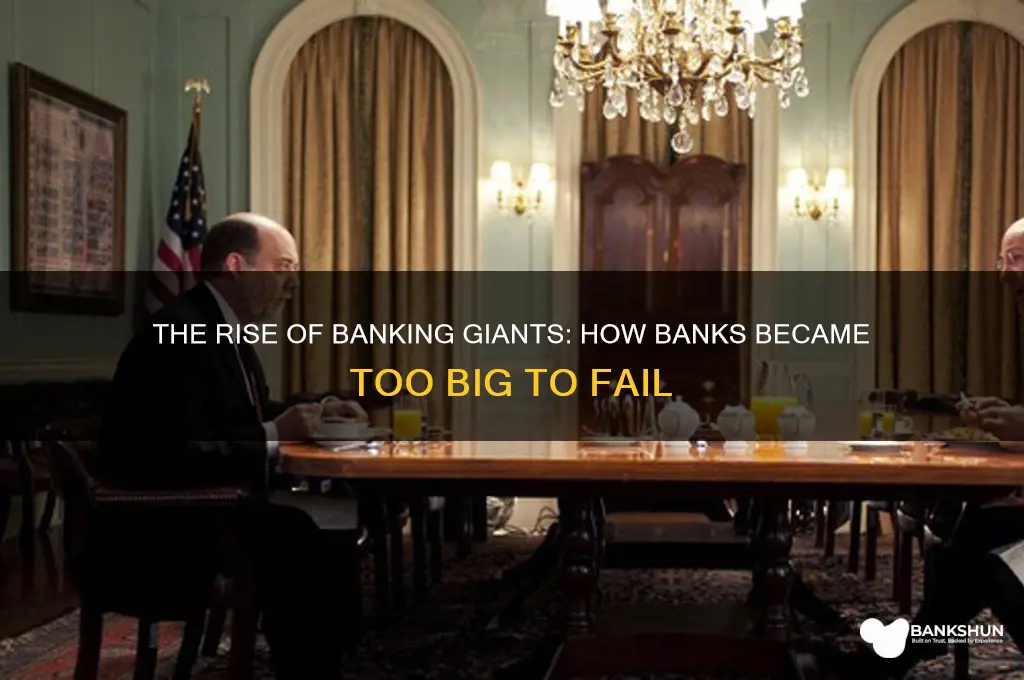 how banks got too big to fail