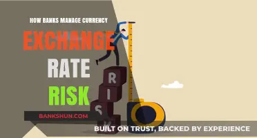 Strategies Banks Use to Mitigate Currency Exchange Rate Risk