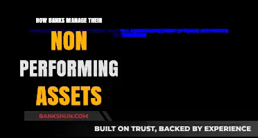 Strategies Banks Use to Tackle Non-Performing Assets Effectively