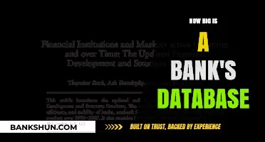 Unveiling the Scale: Exploring the Size of a Bank's Database