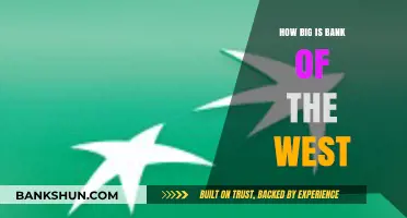 Exploring Bank of the West's Size, Reach, and Financial Impact
