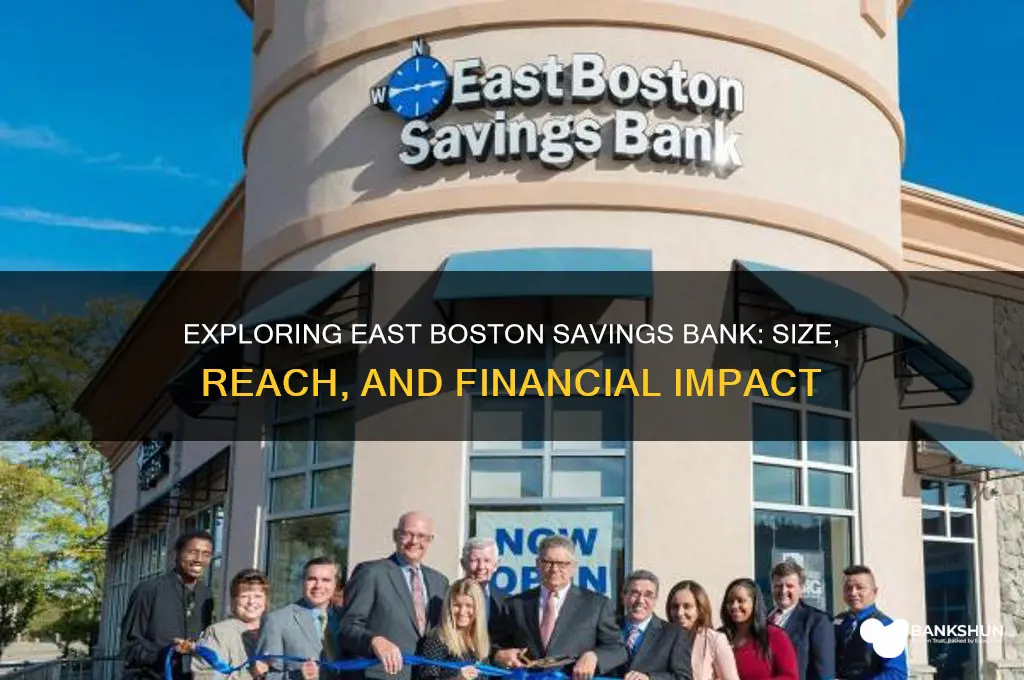 how big is east boston savings bank