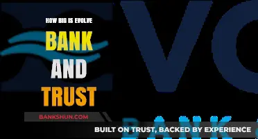 Exploring Evolve Bank & Trust's Size: Assets, Reach, and Impact