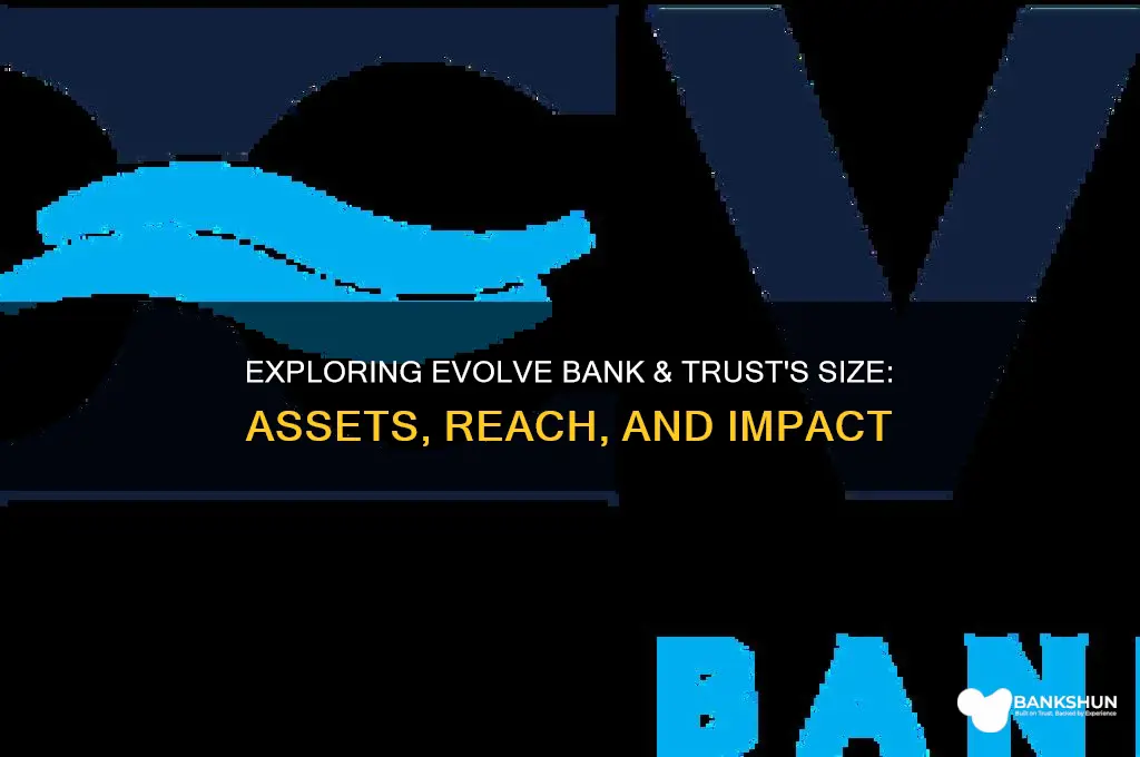 how big is evolve bank and trust