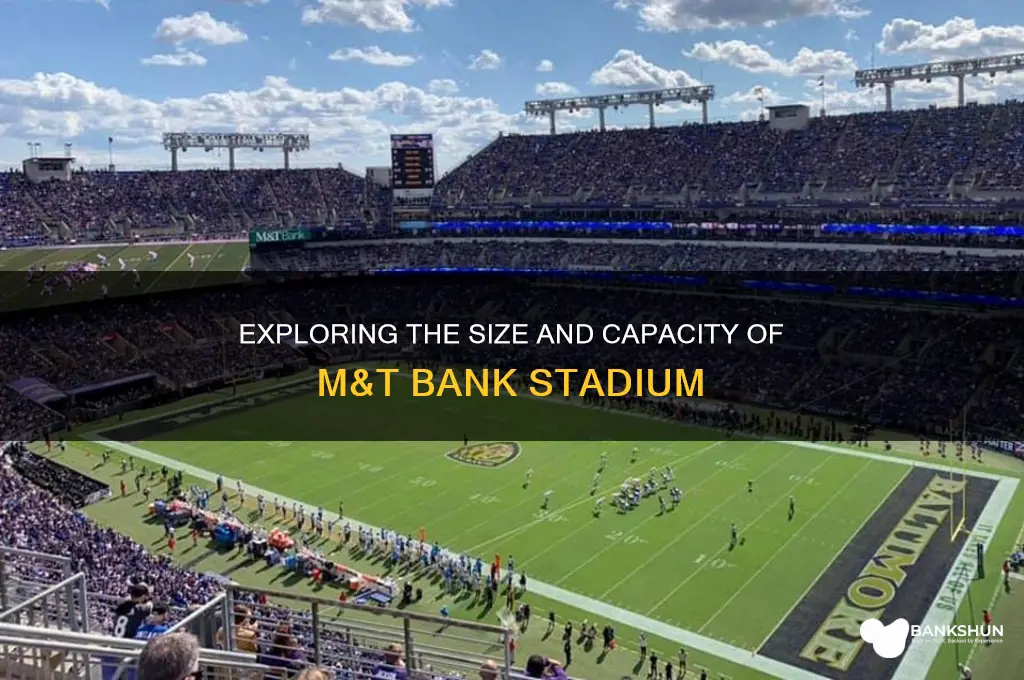 how big is m&t bank stadium