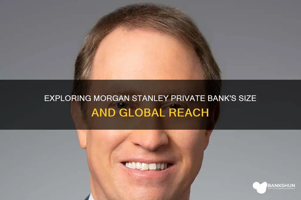 how big is morgan stanley private bank