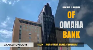Exploring Mutual of Omaha Bank's Size and Financial Impact