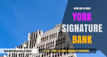 Exploring the Size and Impact of New York's Signature Bank