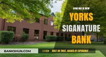 Exploring the Size and Impact of New York's Signature Bank