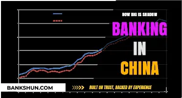 Unveiling China's Shadow Banking: Scale, Impact, and Regulatory Challenges