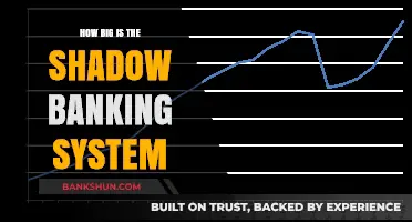 Unveiling the Shadow Banking System's Enormous Global Scale and Impact