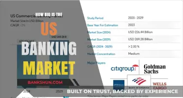 Exploring the Vast Size and Scope of the US Banking Market