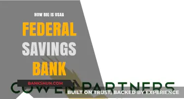 Exploring the Size and Impact of USAA Federal Savings Bank