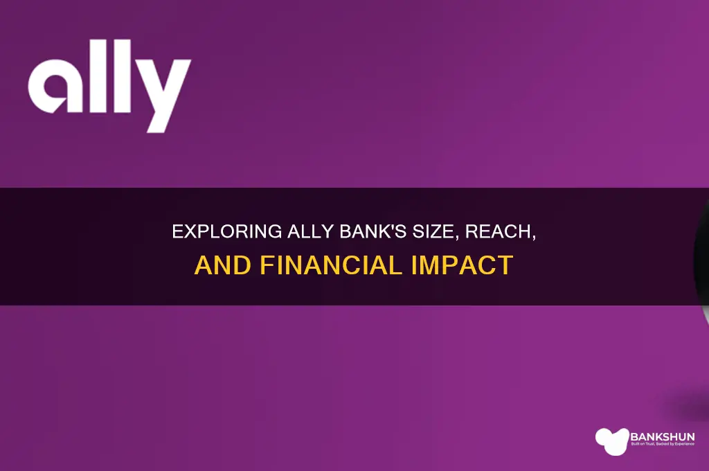how big of a bank is ally