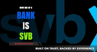 Unveiling SVB's Scale: How Big is Silicon Valley Bank?