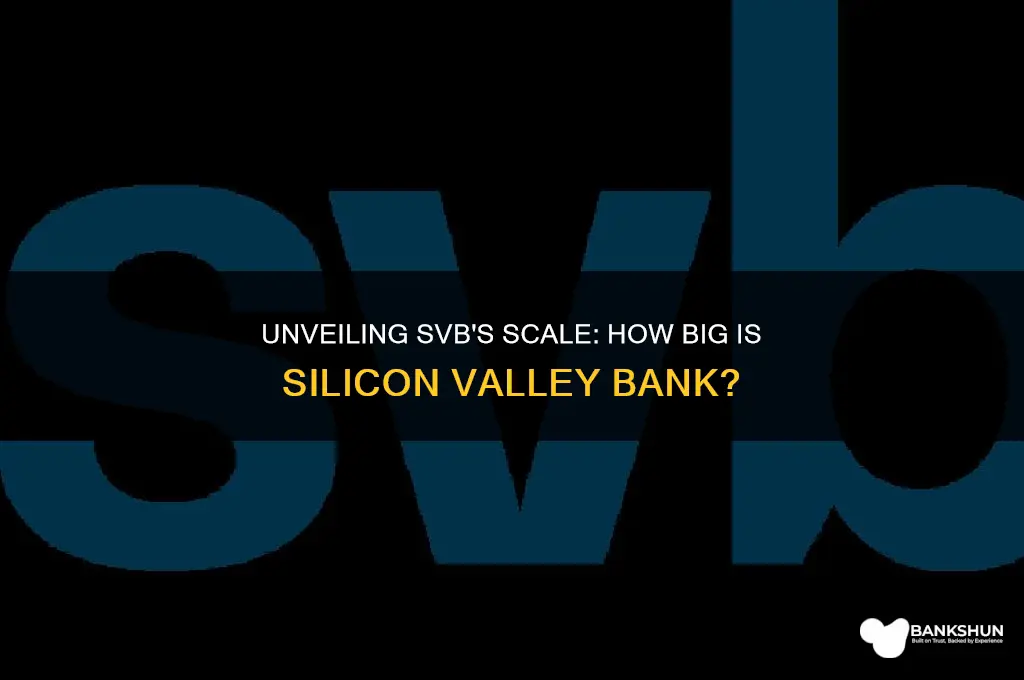 how big of a bank is svb
