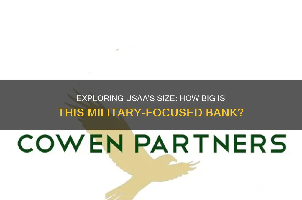 how big of a bank is usaa