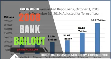 The Massive 2008 Bank Bailout: Size, Scope, and Impact