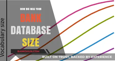 Unveiling the Scale: Exploring Your Bank's Database Size and Impact