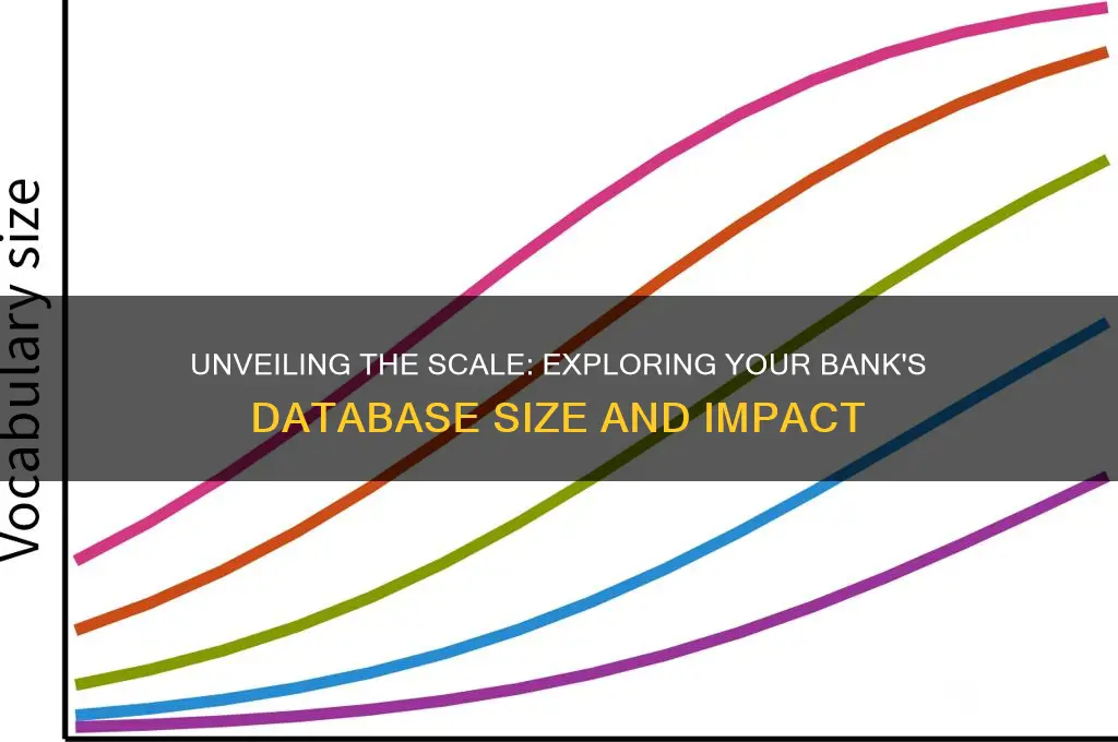 how big was your bank database size