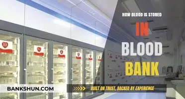 Blood Bank Storage: Safeguarding Life-Saving Donations for Transfusions