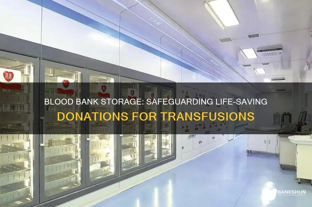 how blood is stored in blood bank