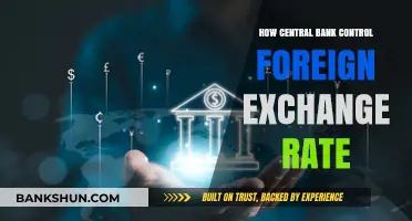 Central Bank Strategies: Managing and Influencing Foreign Exchange Rates