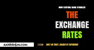 Central Bank Strategies to Stabilize Fluctuating Exchange Rates