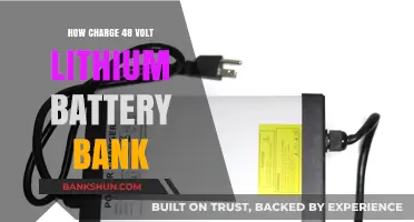 Efficiently Charging Your 48 Volt Lithium Battery Bank: A Comprehensive Guide