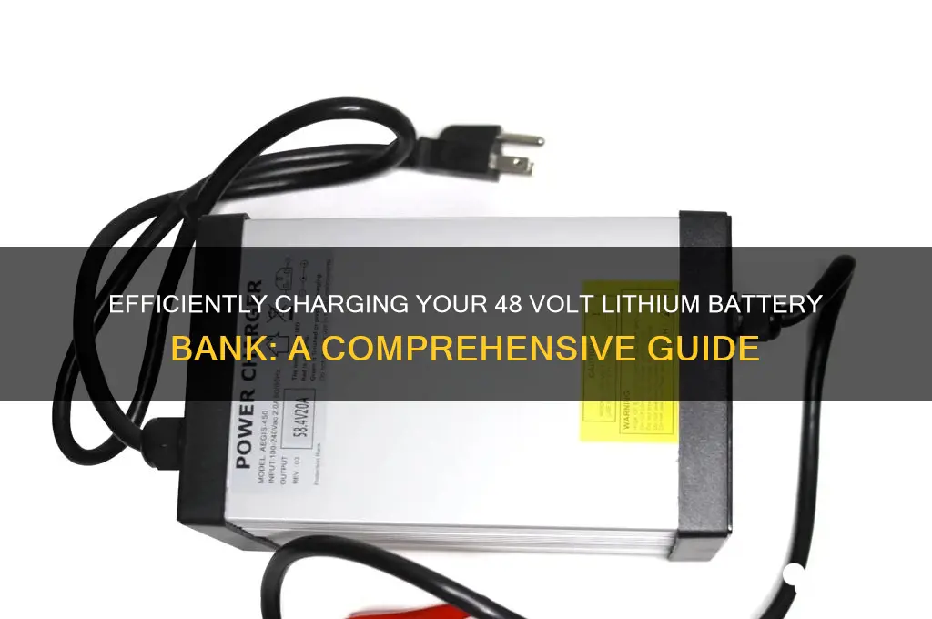 how charge 48 volt lithium battery bank