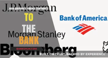 Corporate Finance Strategies: Boosting Bank Performance and Stability