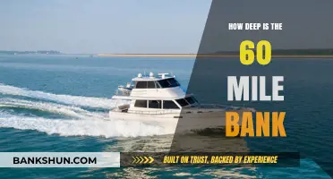 Exploring the Depths: Unveiling the 60 Mile Bank's Ocean Secrets