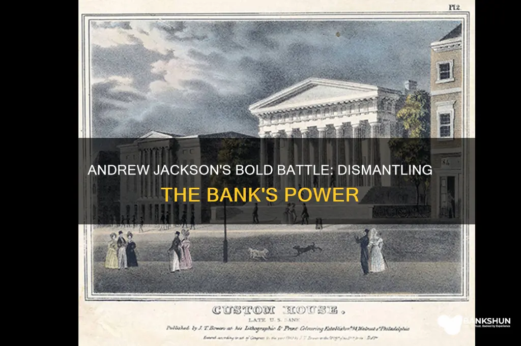 how did andrew jackson defeat the bank