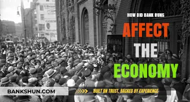 Bank Runs: Economic Impact and Lessons for Financial Stability