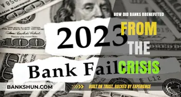 Crisis Profits: How Banks Capitalized on Economic Turmoil