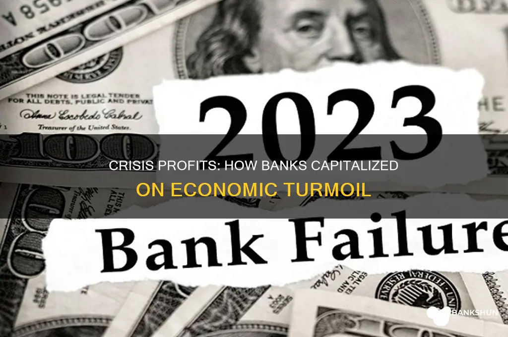 how did banks bbenefitted from the crisis