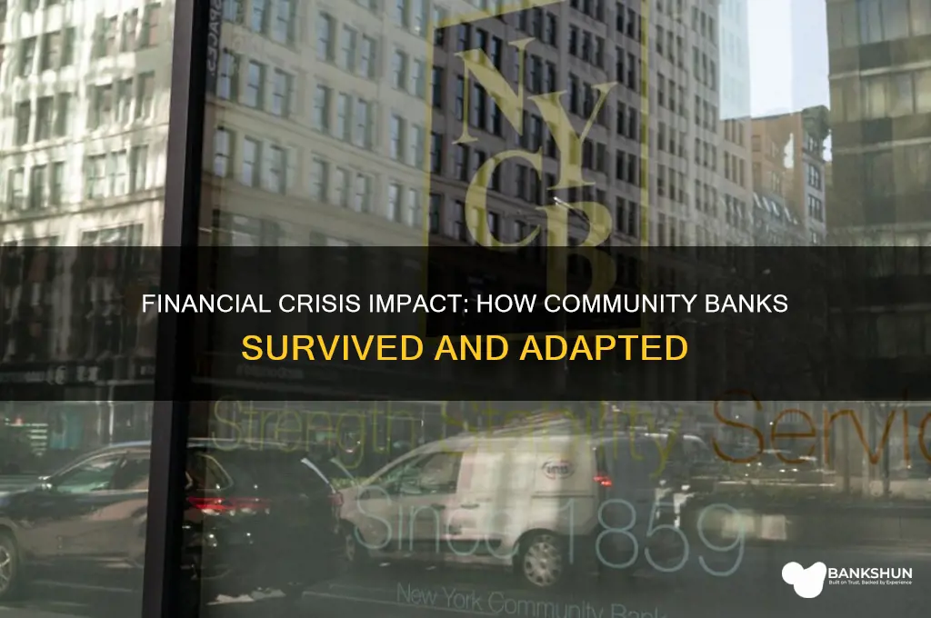 how did financial crisis affect community banks