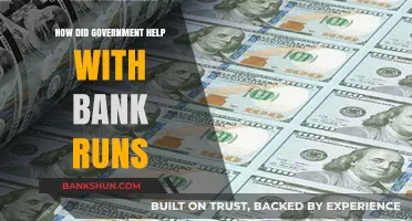 Government Intervention Strategies to Prevent and Mitigate Bank Runs