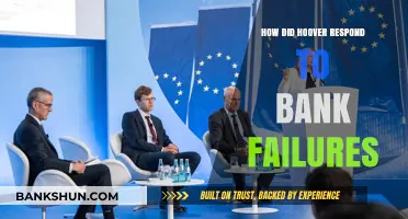 Hoover's Response to the Banking Crisis: Strategies Amid Economic Collapse
