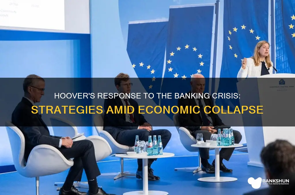 how did hoover respond to bank failures